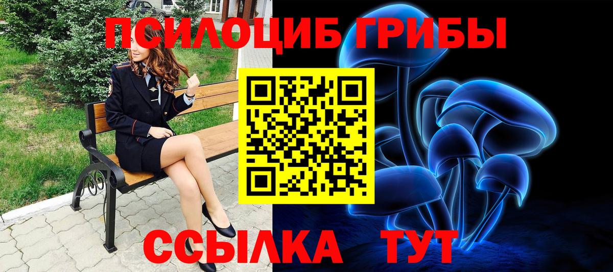 Галлюциногенные грибы Psilocybe  Вход с VPN  Биробиджан 